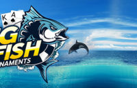 Giải đấu Big Fish tại 888poker