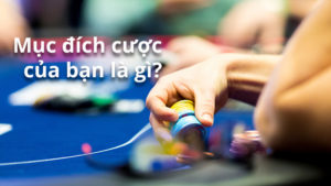 Mục đích đặt cược khi đánh bài poker là gì?